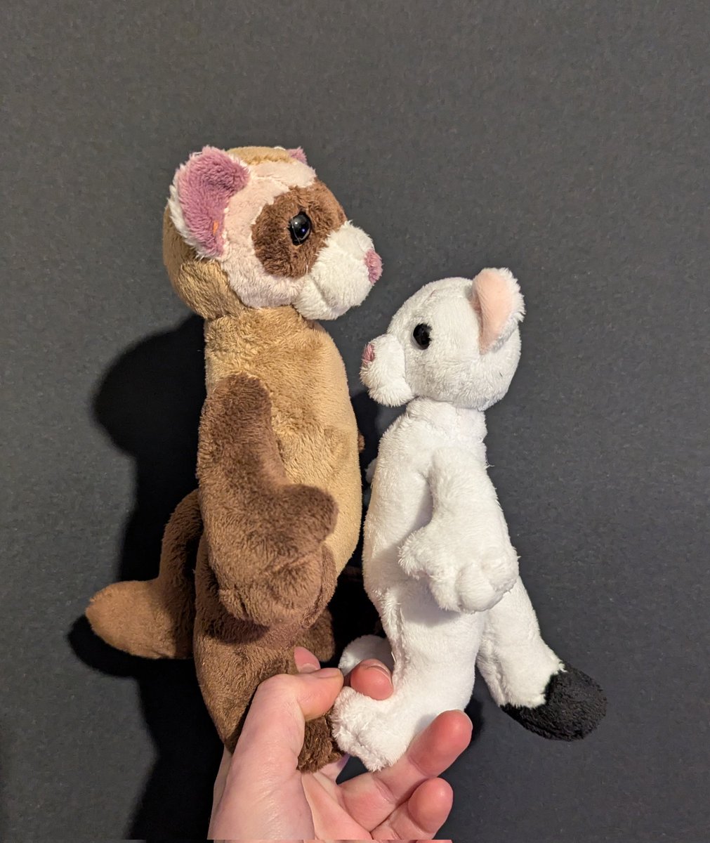 literally just a worm (SC+ CFZ) tweet media