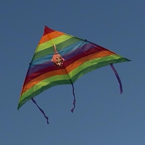 Alisa⚢🦈 tweet media