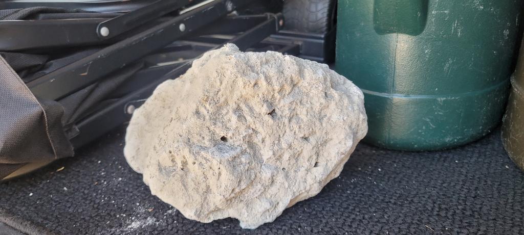 Shane Creamer tweet media