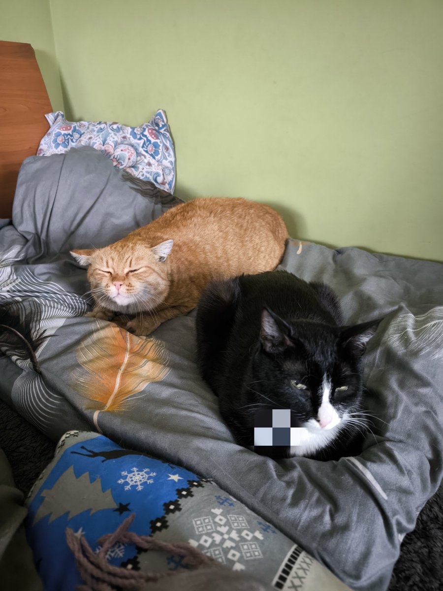 Отрубили свет,  пришлось варить картоху на походной плите🤭 Жаль,  ноут наполовину только заряжен