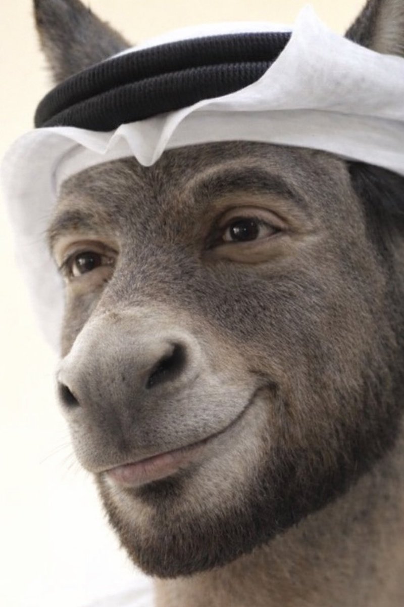 BEST THE BEST tweet media