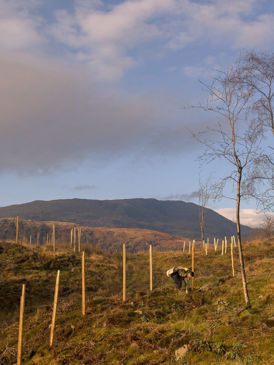 Dan Bell tweet media