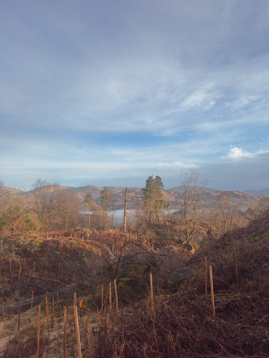 Dan Bell tweet media