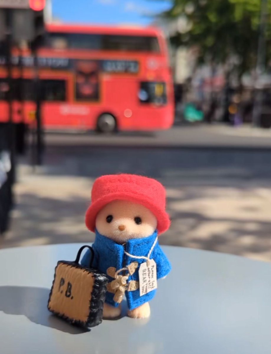 fairiehaze's tweet image. paddington bear🧸