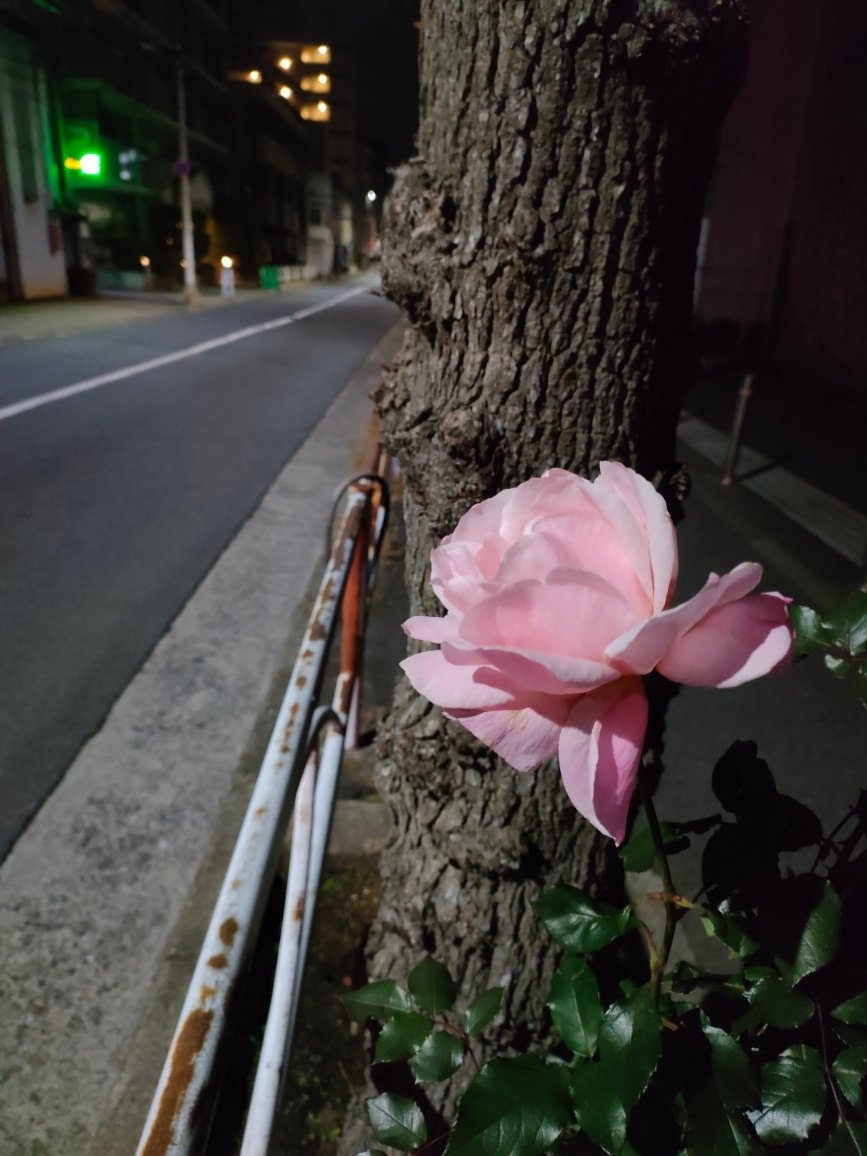 こっちゃん (@mmQ6YwdIE3qUz95) on X