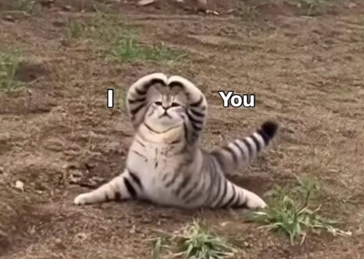 Zekiye Aydemir tweet media