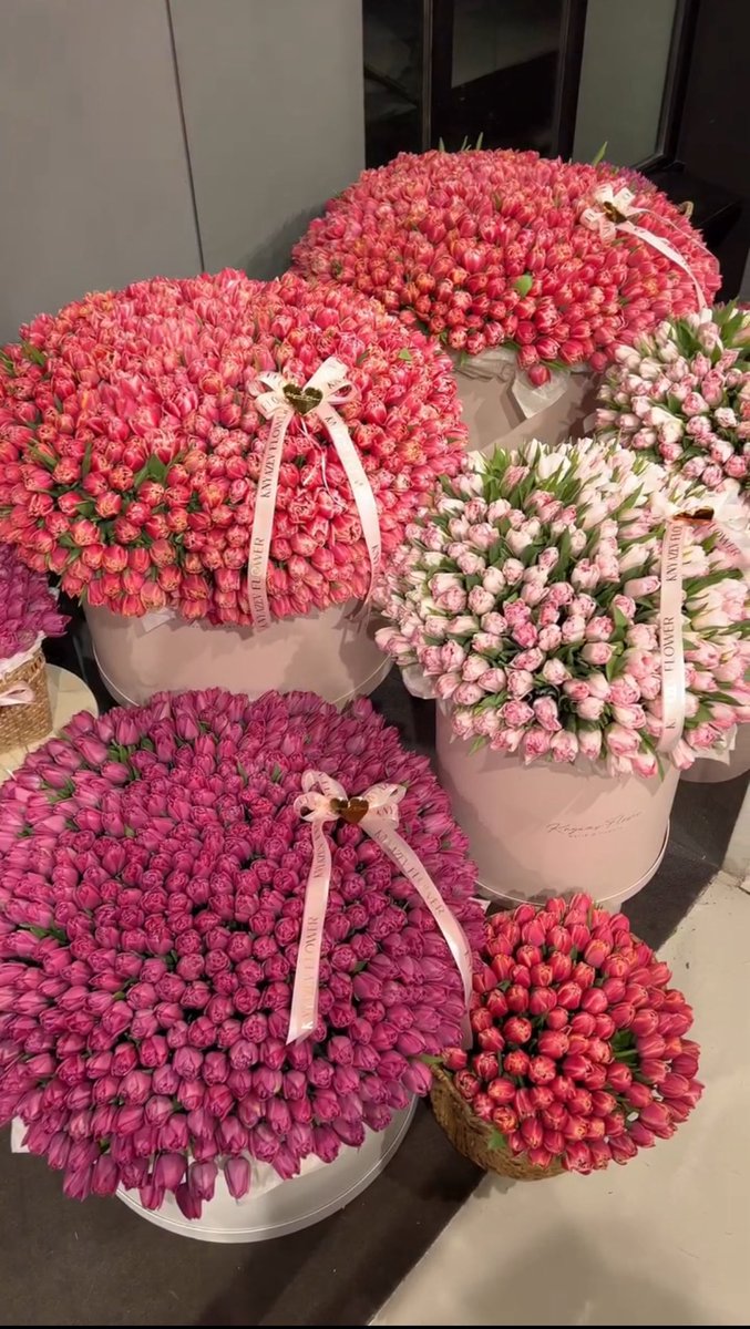 🎀Dior.. tweet media