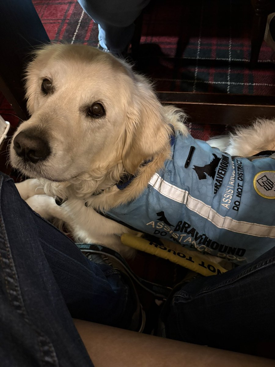 lyn_golden's tweet photo. Me #underthetable and veteran is pleased to report that no ball nibbling took place! #intact https://t.co/sRAo4FeZpg