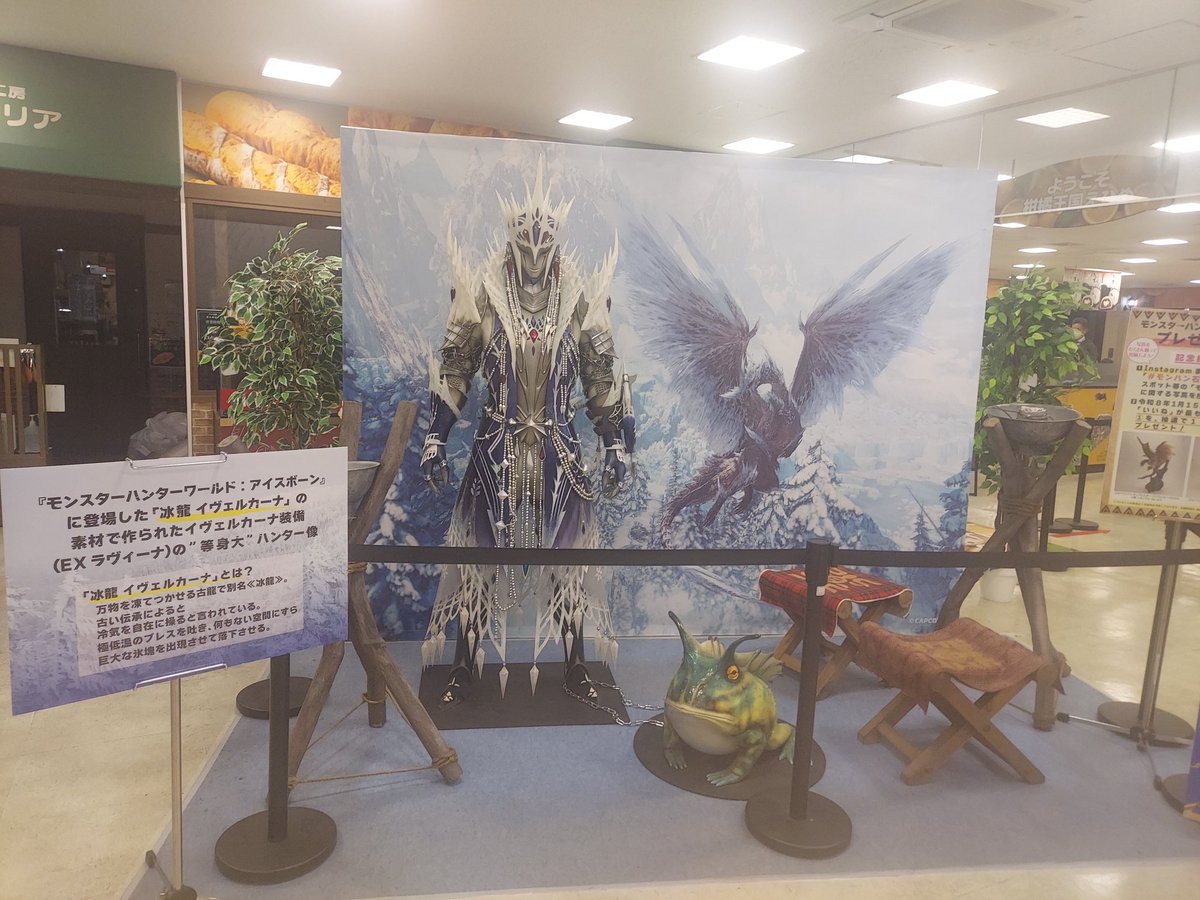 旅終了、大分で心折れた