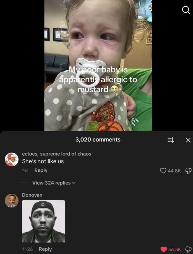 nocontextmemes's tweet photo. https://t.co/hCmoP1YAdb