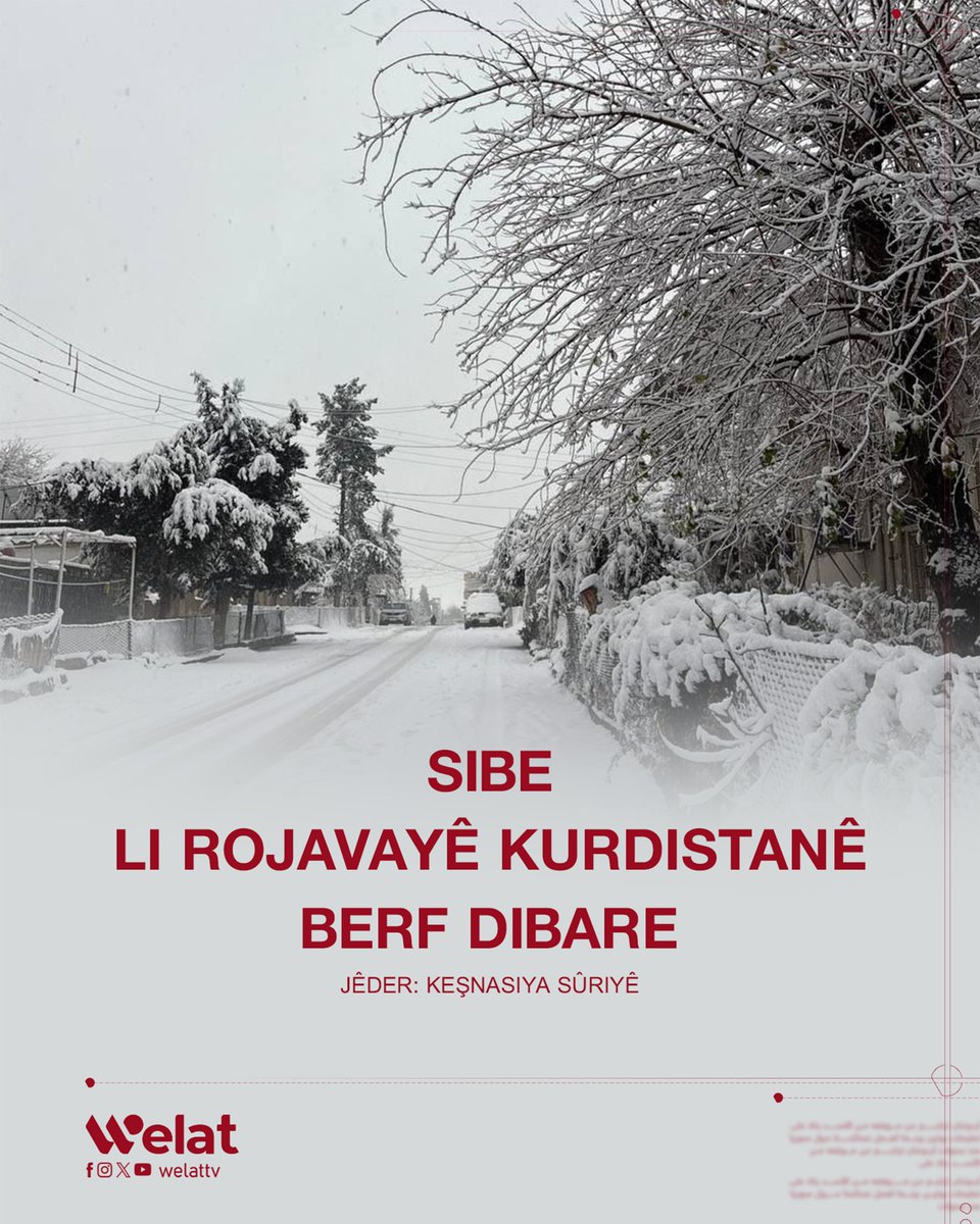WelattvKu's tweet image. Sibe li Rojavayê Kurdistanê berf dibare 
Jêder: Keşnasiya Sûriyê 
#Berf 
#Rojava_Kurdistan 
#Syria 
#WelatTV
