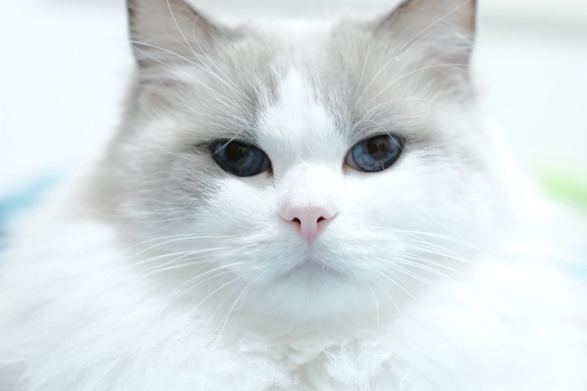 阿提 (@srn_tim) on Twitter photo 