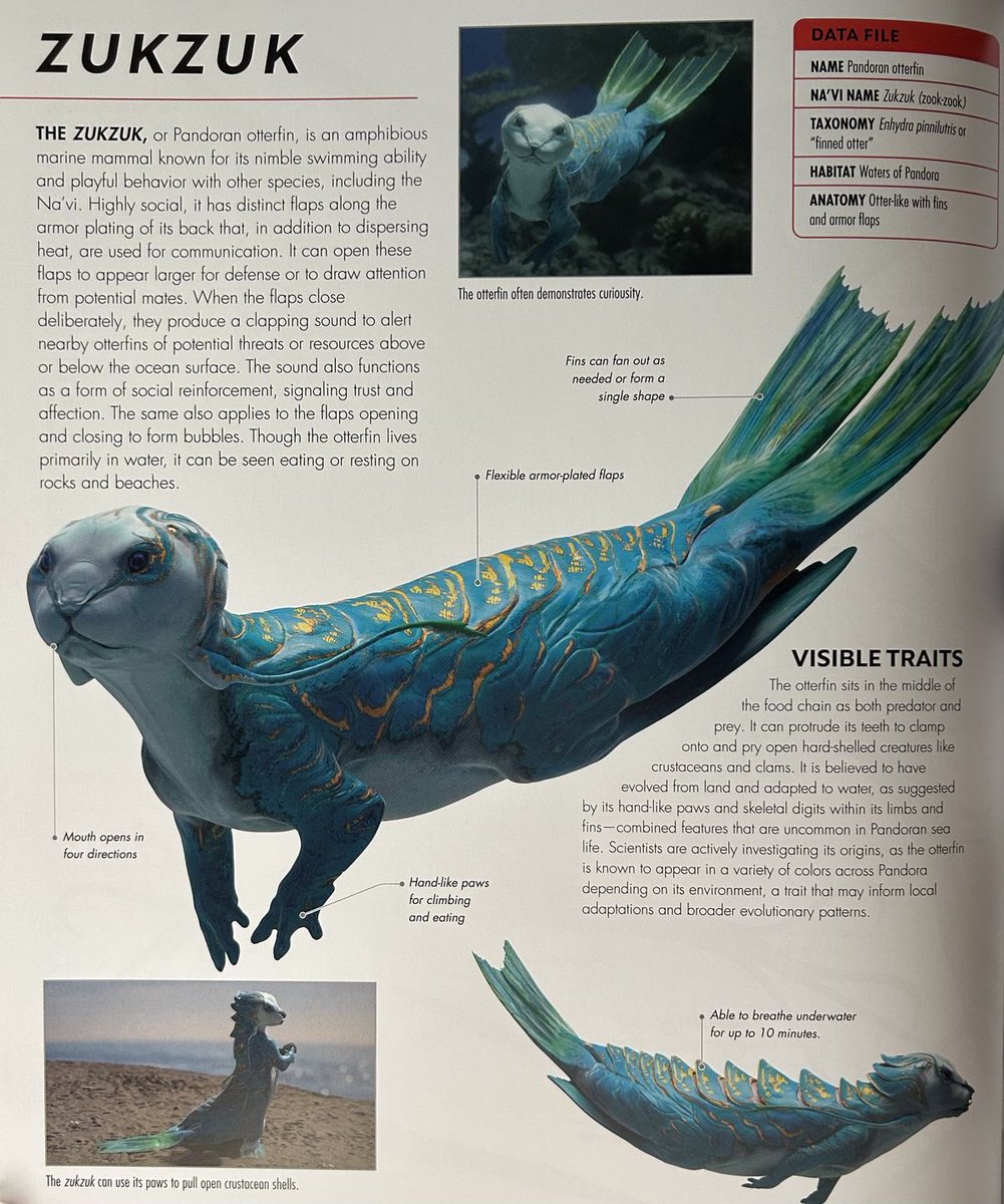 netelvr's tweet image. My new favourite sea creature!! It's so cute 🥹 #avatarfireandash