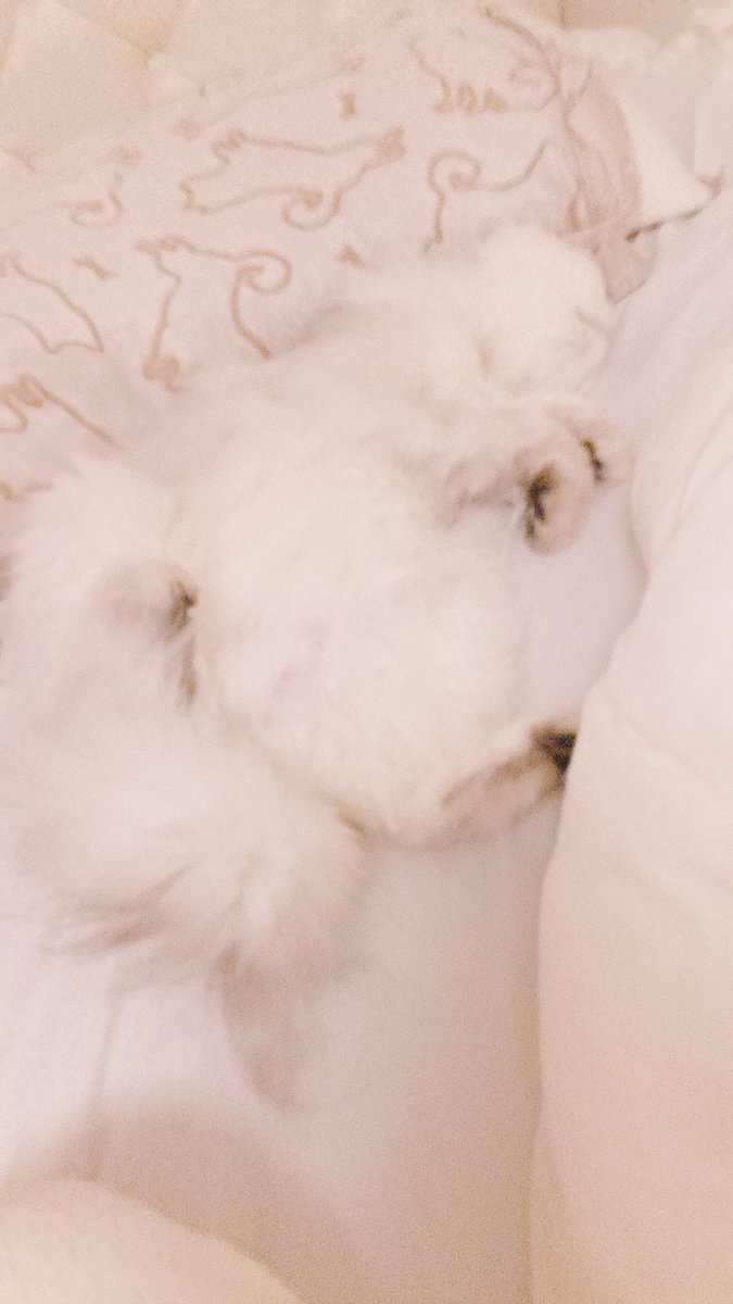 ぐーたら__´ω`)_ (@whatweneed8837) / Posts / X