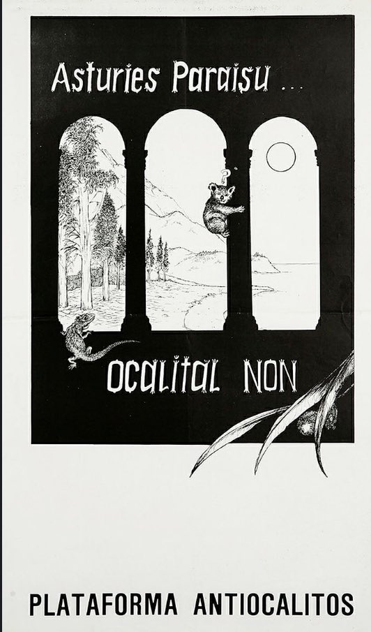 Años 80, Plataforma Antiocalitos.