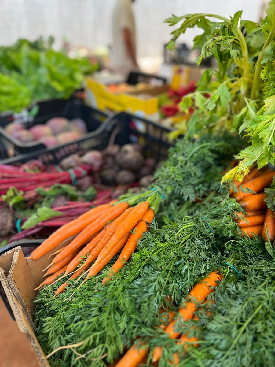 Rte es ventall tweet media