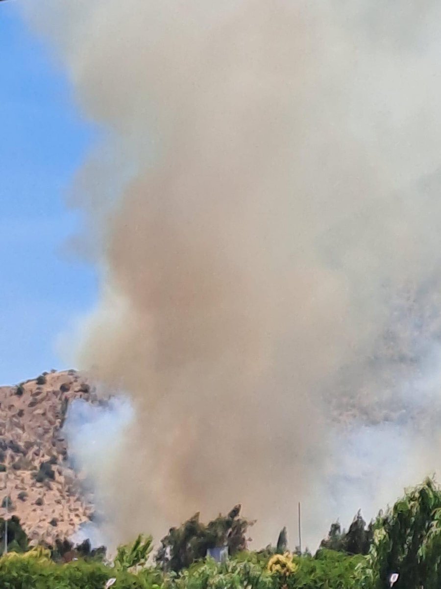 🚨🔥#Doñihue Incendio forestal en sector Isla Chica, cerca del ex balneario La Puntilla.

<a href="/Sepulinares/">Alejandro Sepúlveda Jara</a> <a href="/reddeemergencia/">Red de Emergencia ONG</a> <a href="/RedGeoChile/">Red Geocientífica de Chile</a> <a href="/bombabelloto/">Bomba Belloto</a> <a href="/nimbusmeteorol/">Nimbus Meteorología</a> <a href="/GrupoWurtlitzer/">Grupo Wurtlitzer</a> <a href="/cleivamoris/">🚨🚨Claudio Leiva Moris 🚒🚒🇵🇸</a> <a href="/djgraff_German/">German Espinoza</a> <a href="/Seba_Quake_WX/">Seba Quake WX - Sismos, Volcanes, Meteorología ⛈🌋</a> <a href="/RNE_Alpha_8/">Carlos Coray</a> <a href="/JavierFloresQu6/">Javier Flores Quiroz</a>