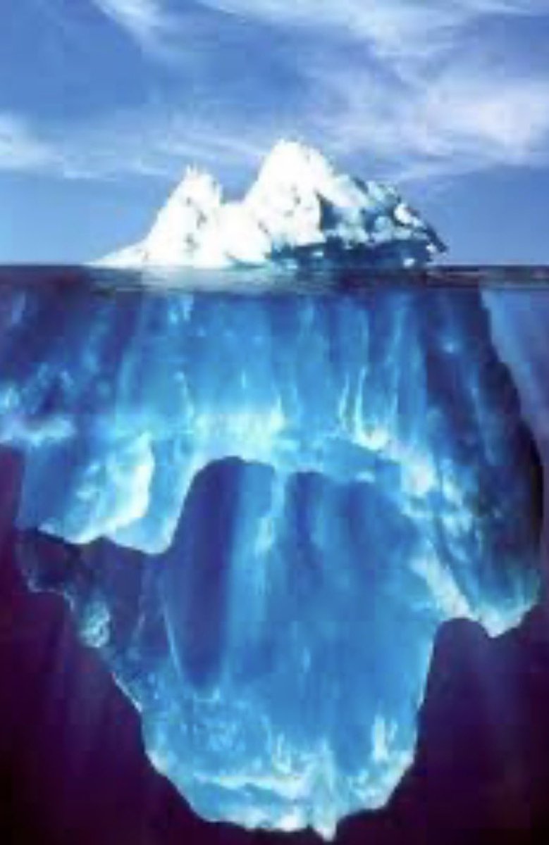 La imputación precisa a Elías Piccirillo fue:  secuestro coactivo, transporte de estupefacientes agravado, encubrimiento agravado y portación ilegal de arma. 

El abogado Gastón Marcelo Francone logró un milagro:  que “PICCIRILLO” acceda a la prisión domiciliaria por resolución