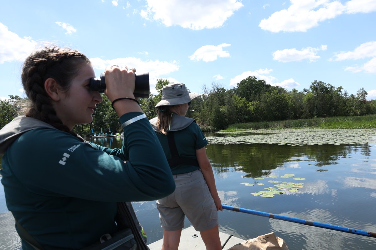 🌿 La voie-navigable Trent-Severn embauche des étudiants en services environnementaux!
 
Aide à surveiller les espèces envahissantes, à appuyer les relevés de fraye des poissons et à contribuer à l’analyse des données et à l’élaboration de directives.
 
parcs.canada.ca/lhn-nhs/on/tre…
