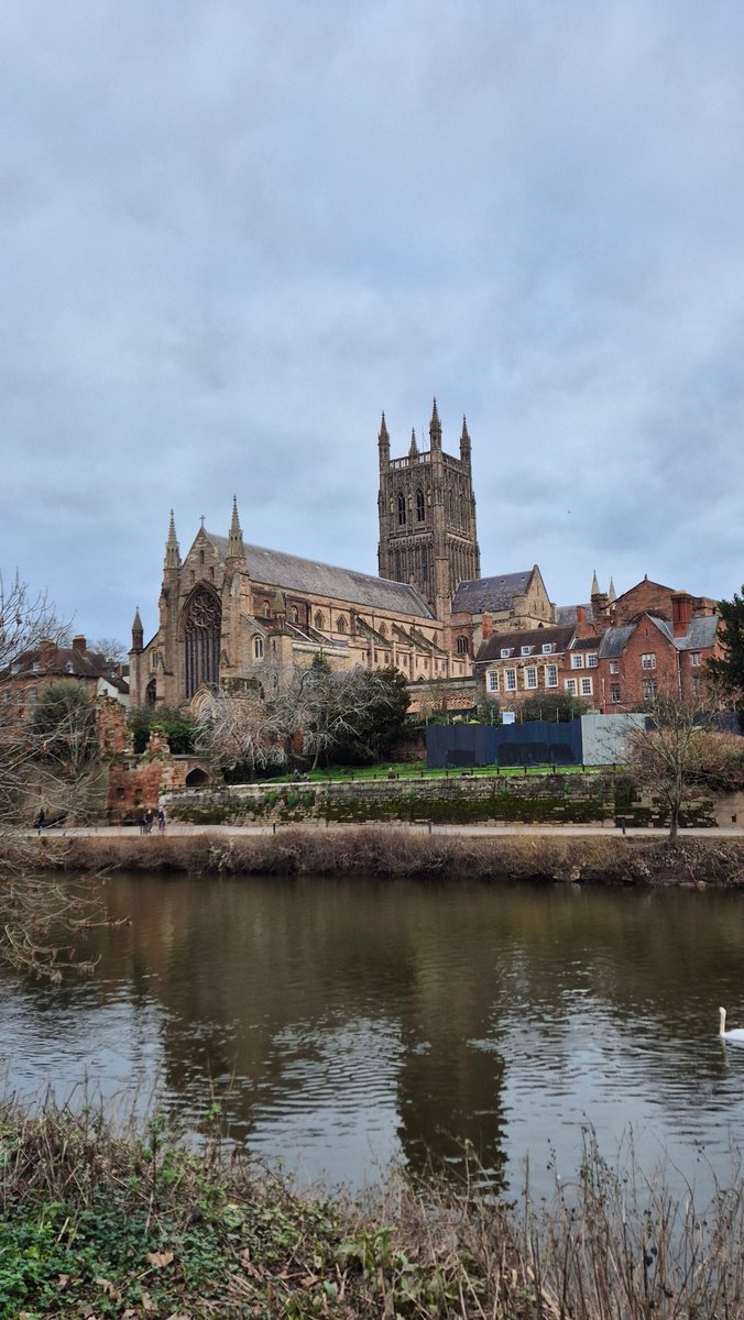 Stefan Rance tweet media