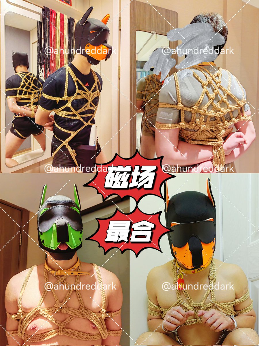 ahundreddark(龙翔) tweet media