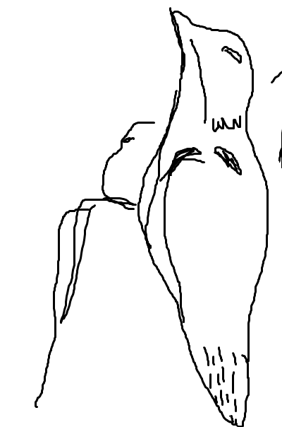 cerebellc tweet picture