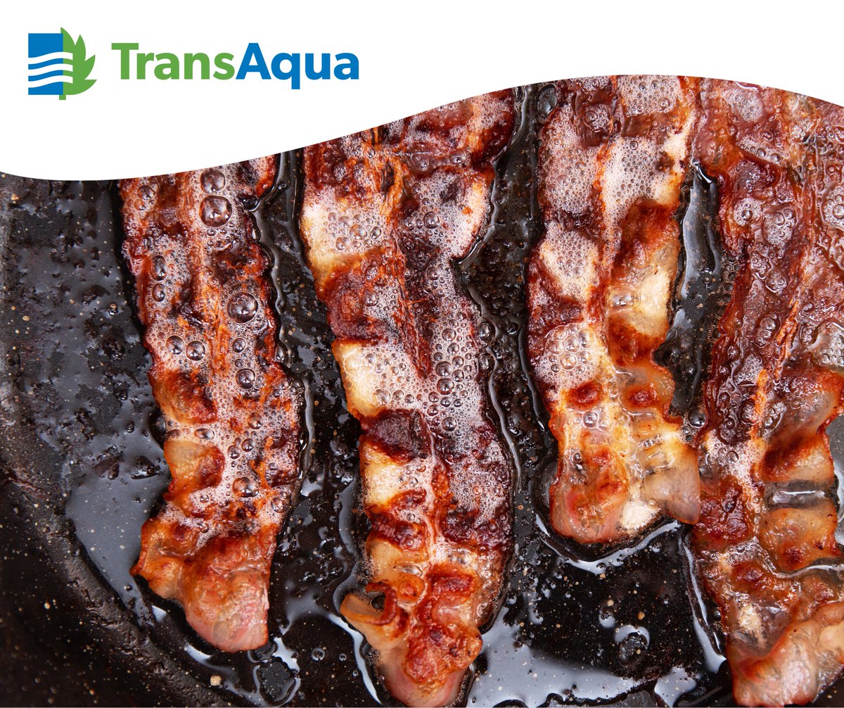 Hard to believe, but after all the holiday treats and feasts, December 30 is officially International Bacon Day! 

✅ Let oils cool and dispose of them in your green waste.
❌ Pour them down sinks or toilets.