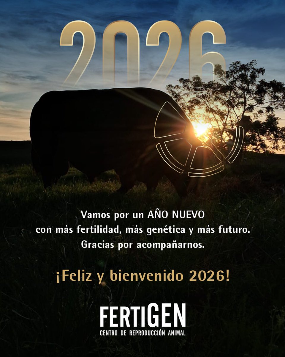Fertigen_uy tweet media