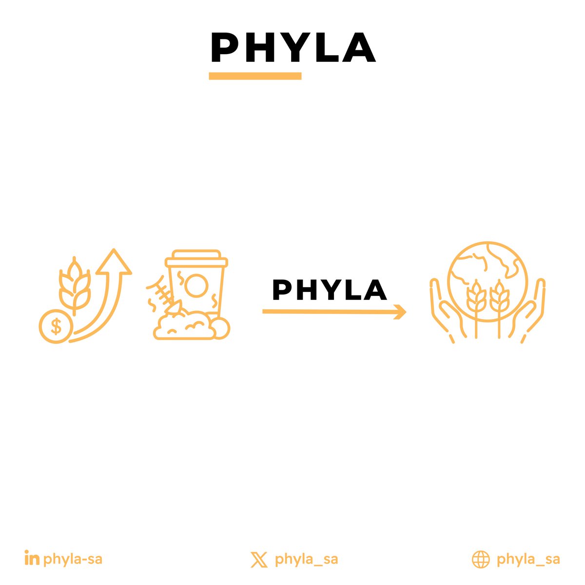 PHYLA tweet media