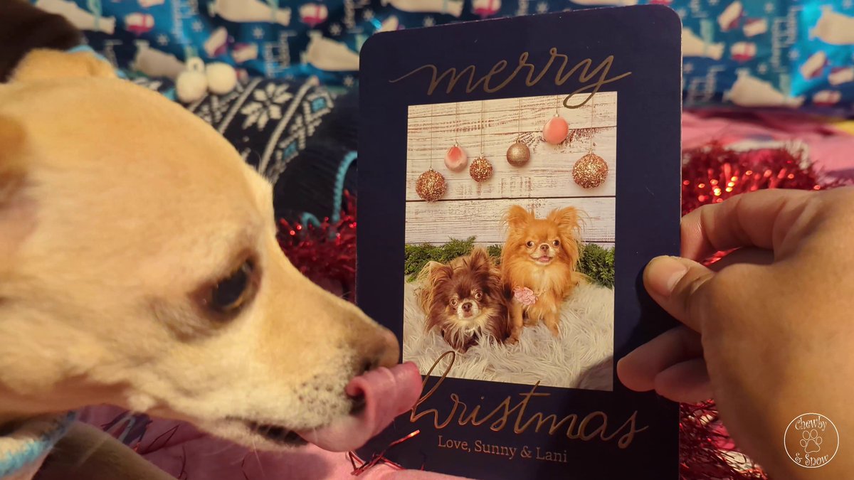 Our Christmas card from Sunny and Lani <a href="/SunnyDaWawa/">Sunny 🌴</a>  is simply elegant! We love you Beauties! 

youtu.be/iITq3sbcfbQ?si…

#dogsoftwitter #dogsofX #Christmas #ChristmasCard #Snowby #ChewbySnow