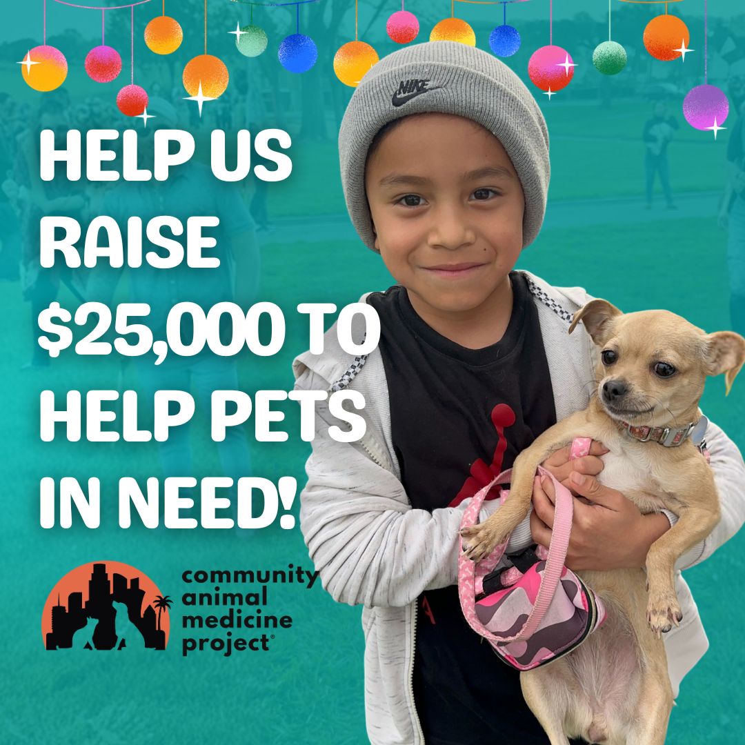 campclinics's tweet image. Help us reach our $25,000 year-end goal! Every gift is matched through December 31st. Your donation supports life-saving vet care for LA pets. Give crypto, stocks or DAF →
campla.org/donate-crypto-… #CAMPClinicsLA #YearEndGiving #CryptoForGood