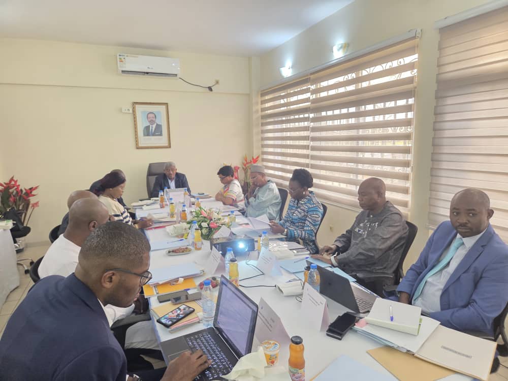 29e Session du COPIL-PDST (Volet Aérien) : 98% d'exécution ! 🇨🇲✈️ Cap sur la clôture en 2026 pour des aéroports davantage aux normes OACI.
​À lire 👇🏾
ccaa.aero/index.php/fr/e…
#CCAA #Aviation #PDST