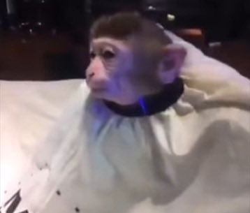 Thor cuando viene un enemigo peligroso a destruir la tierra: