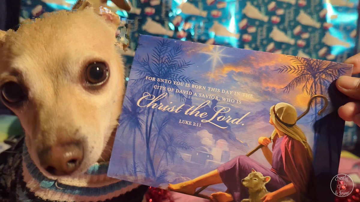 We love our Christmas card besties Maggie May and MiniMia <a href="/FrancieR13/">TheDoubleM’s MaggieMay MiniMia Francie</a> !! You are so sweet Beauties.

youtu.be/iITq3sbcfbQ?si…

#dogsofX #dogsoftwitter #Christmas #Christmascard #Snowby #ChewbySnow