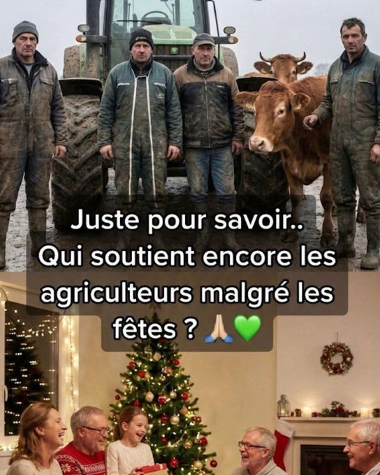 MelaniaFrance's tweet image. 