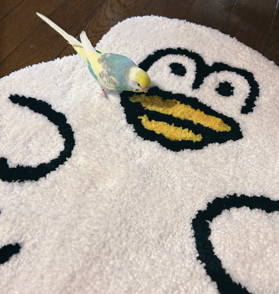 mugny すやすやとりもち ラグマット 🏠POP UP SHOPグッズ紹介🐥 「フロアマット」 とりもちの形のフロア