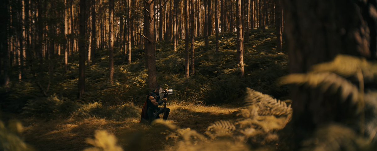 Thor Updates tweet media