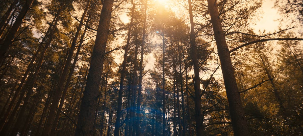 『Ꭺ 』 tweet media