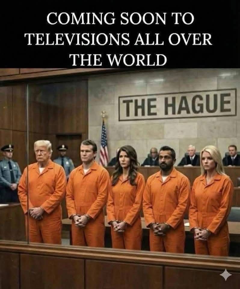 Florida Life 😎🌴🌊 tweet media