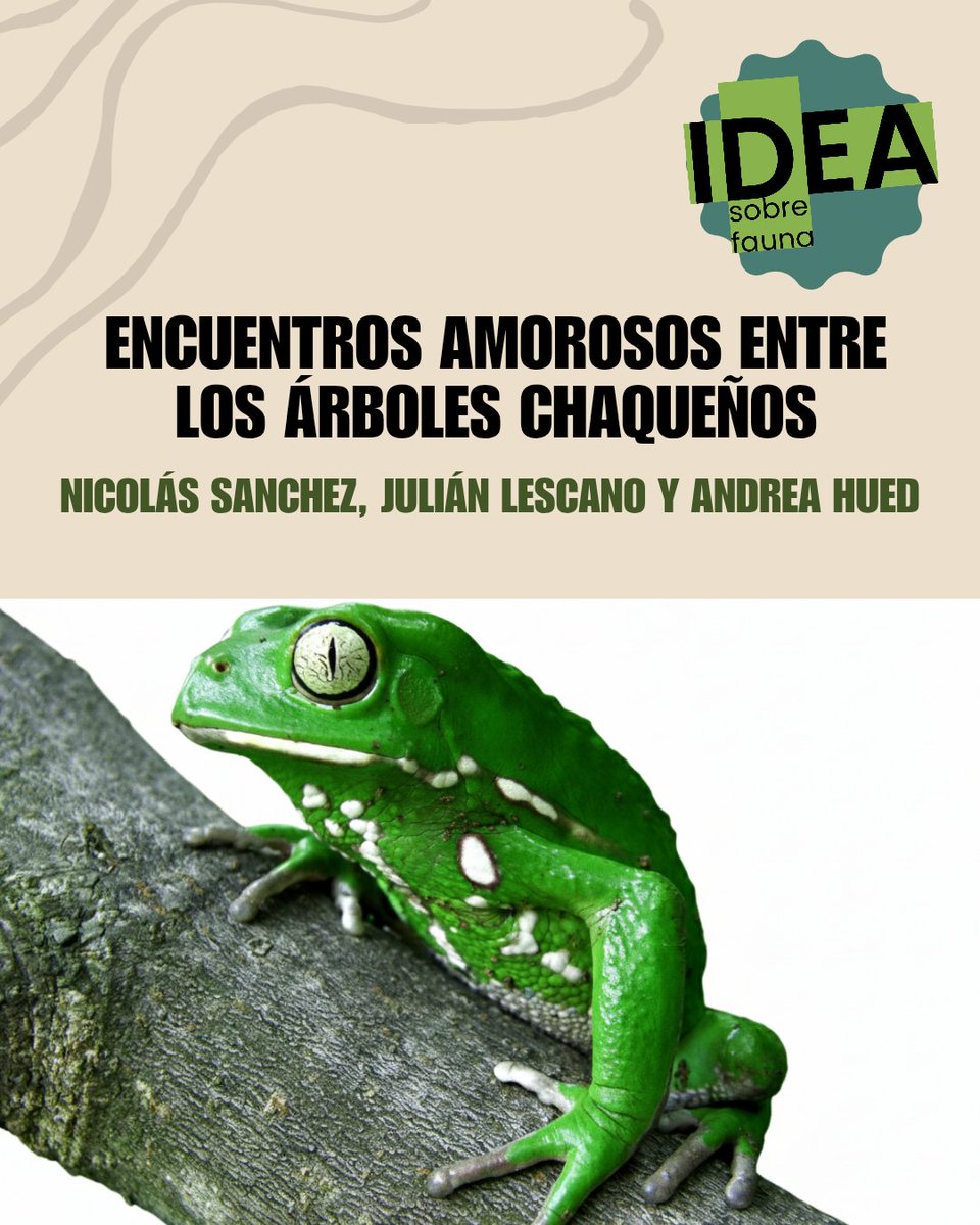 +IDEA sobre Fauna tweet media