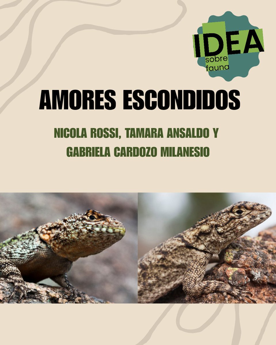 +IDEA sobre Fauna tweet media