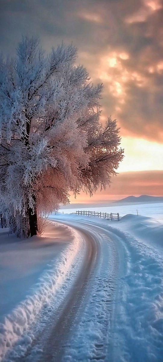 Tweetbonjur1's tweet image. #gününsözü
#Hayatınözü
Söylenecek çok söz var
Ama ben susmayı tercih ettim.