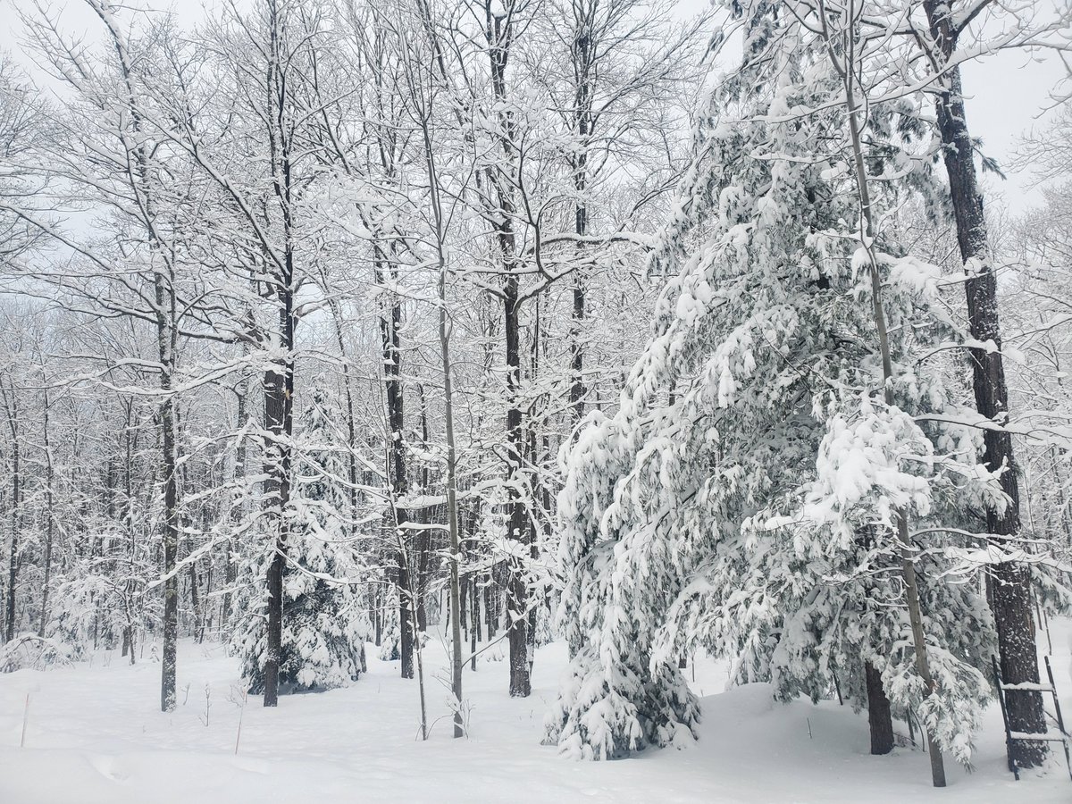 Meredith Yanke tweet media