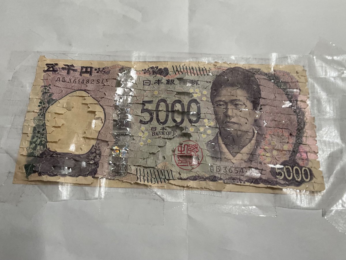 Post by り 𐔌՞・·・՞𐦯 on X: すごwww