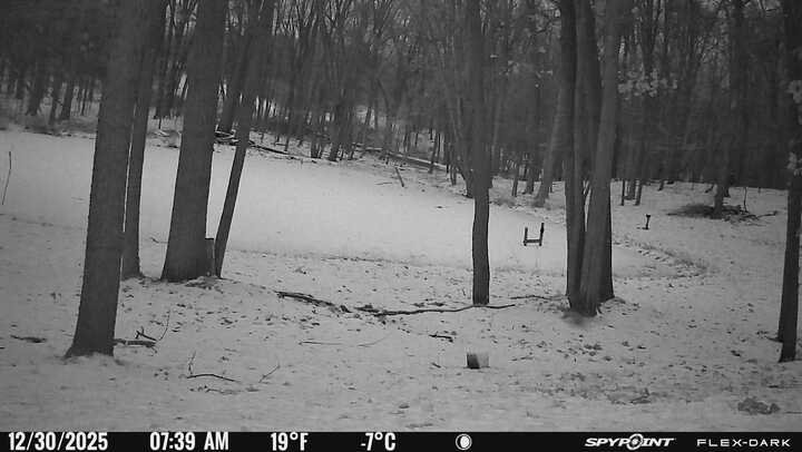 Morning shot of the pond