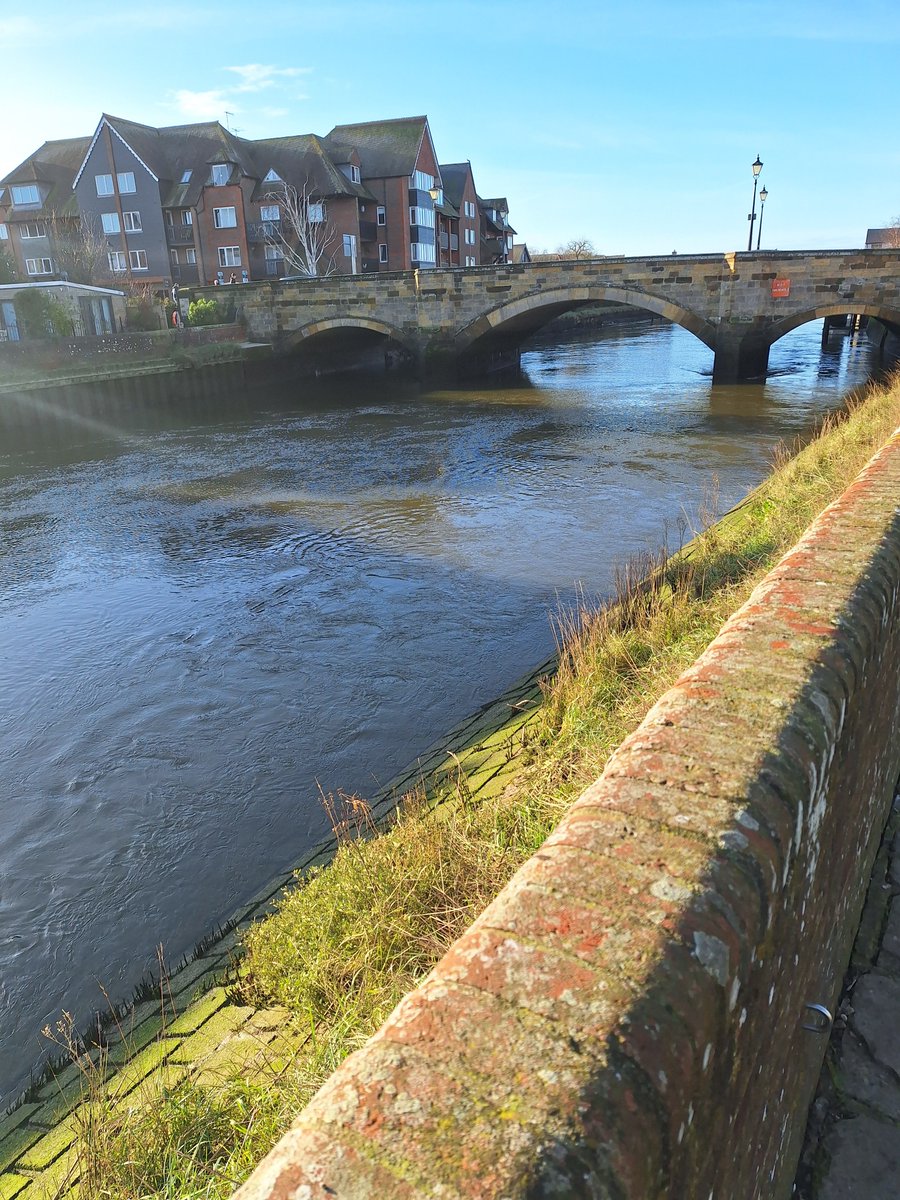 Das Stevens tweet media