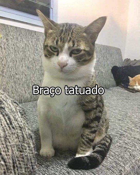 itimaliasof's tweet image. 