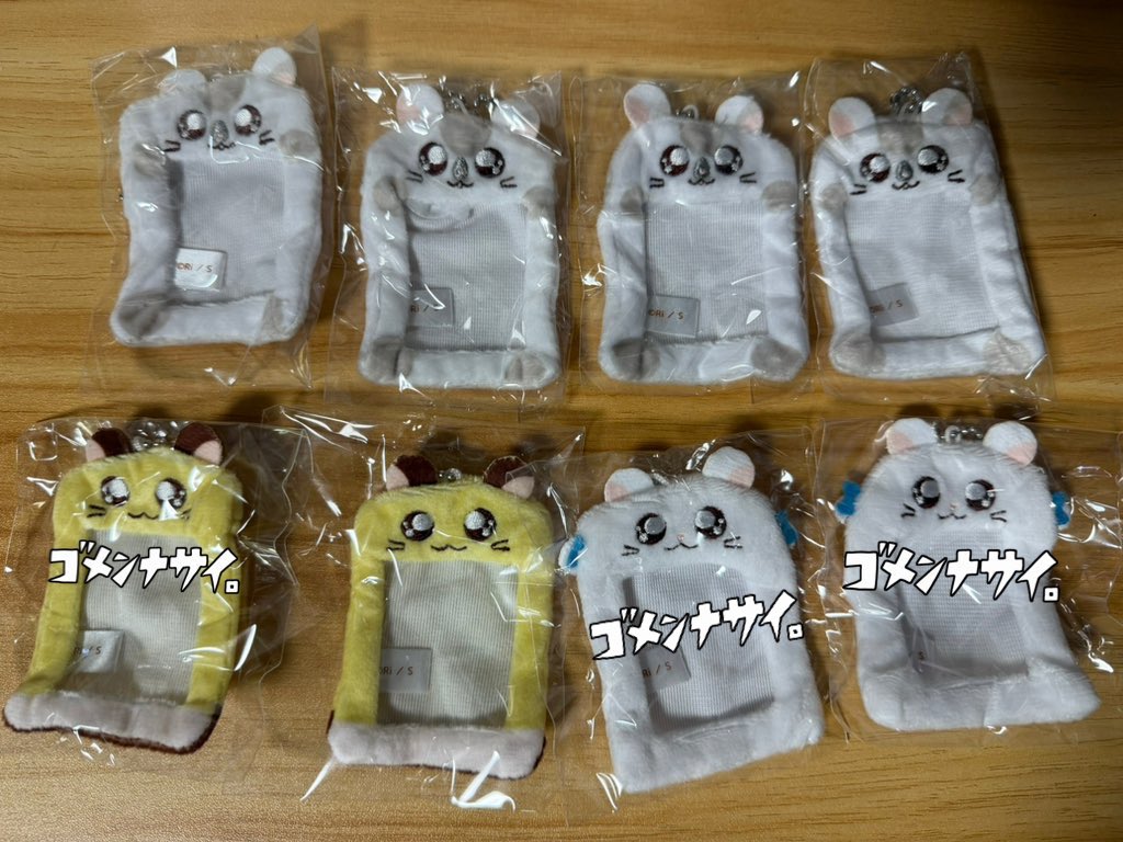 🐾아이라🐾 tweet media