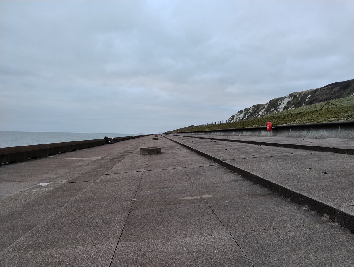 Rosemary tweet media