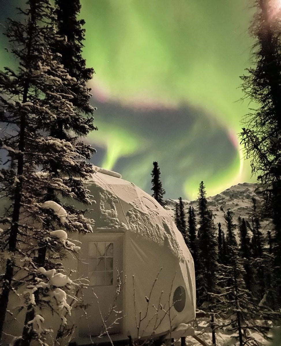 PacificDomes's tweet image. Happy New Year from Pacific Domes! 🎉🥳